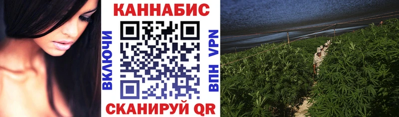 Сколько стоит Дюртюли Гашиш  А ПВП  МЕФ  Псилоцибиновые грибы  COCAIN 