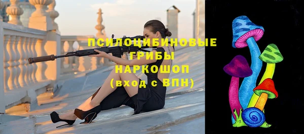 дурь Елизово