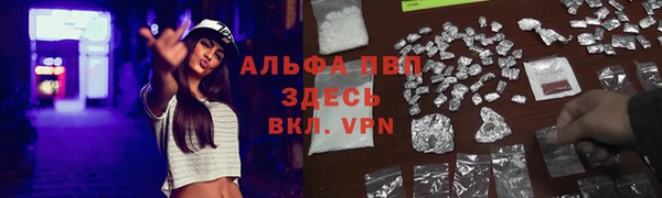 твердый Ельня