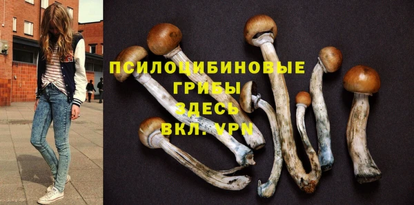 трава Иноземцево
