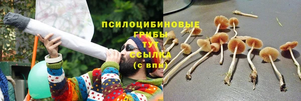 твердый Ельня