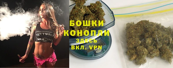 гидра Фёдоровский