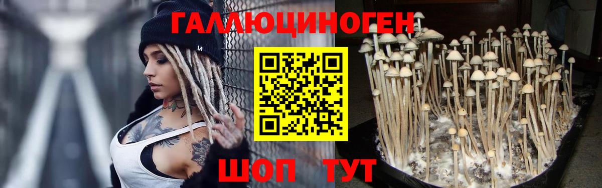 Дюртюли  Галлюциногенные грибы Psilocybe  Вход с VPN 